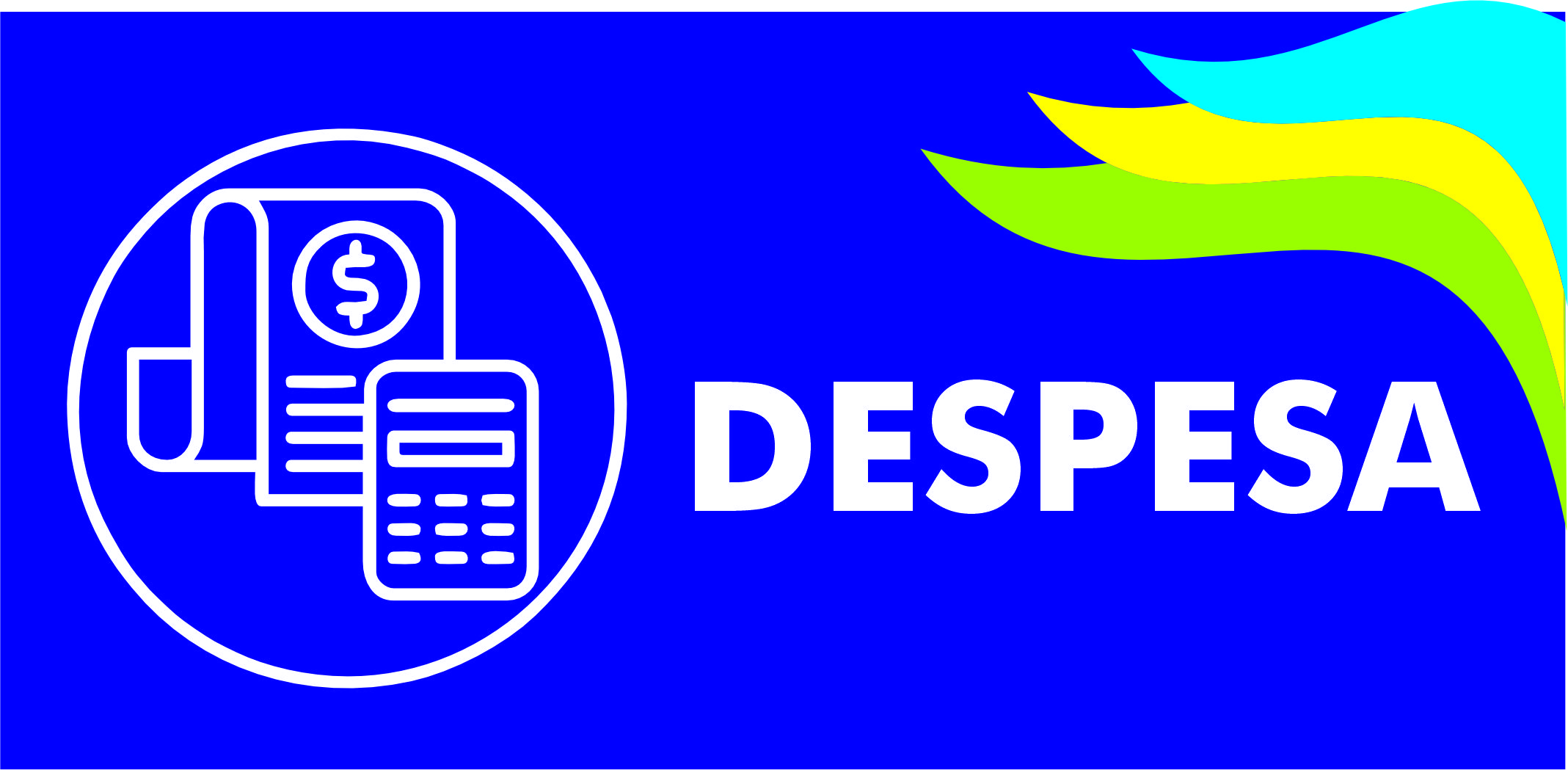 DESPESA